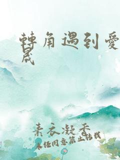 转角遇到爱 李晟