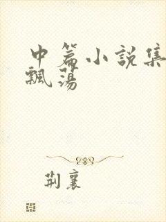 中篇小说集随风飘荡