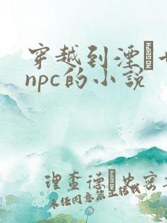 穿越到湮婸世界npc的小说