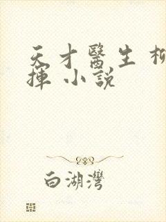 天才医生 柳下挥 小说