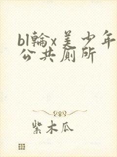 bl轮x美少年公共厕所
