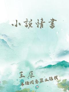 小说情书