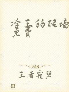 冷王的爬墙丑妃免费