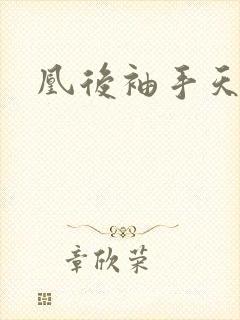 凰后袖手天下