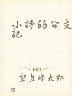 小诗的公交车日记