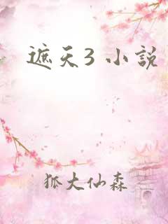 遮天3 小说