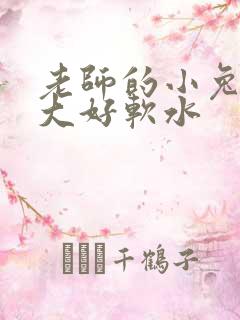 老师的小兔子好大好软水