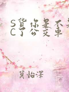 S货你是不是欠C了公交车