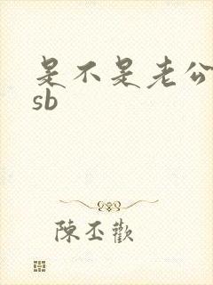 是不是老公的小sb