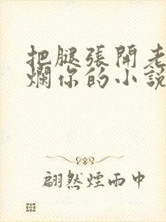 把腿张开老子臊烂你的小说