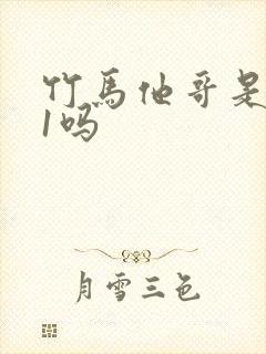 竹马他哥是1v1吗