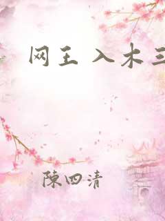 网王 入木三分