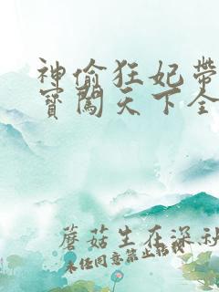 神偷狂妃带着宝宝闯天下全文免费阅读