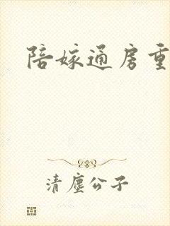 陪嫁通房重生记