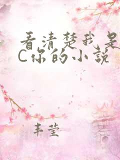 看清楚我是怎么C你的小说