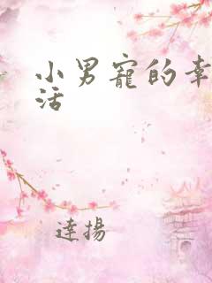 小男宠的幸福生活
