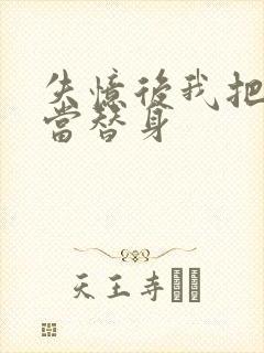 失忆后我把渣攻当替身