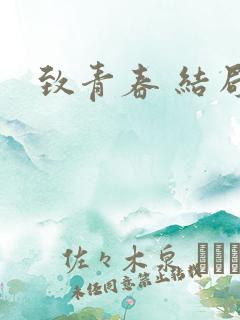 致青春 结局