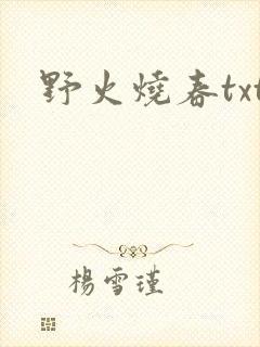 野火烧春txt