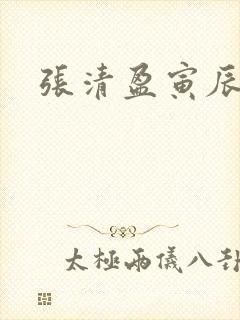 张清盈寅辰小说