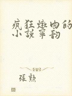 疯狂炖肉的全部小说宁韵