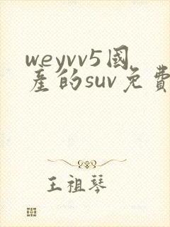 weyvv5国产的suv免费
