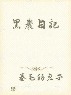 黑岩日记