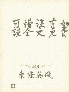 可惜没有如果小说全文免费阅读