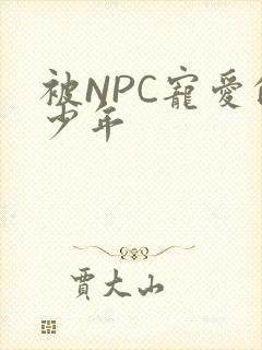 被NPC宠爱的少年
