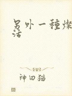 另外一种灿烂生活