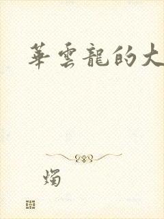 华云龙的大宝贝