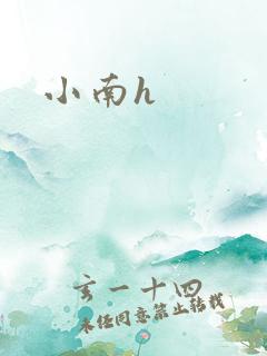 小南h