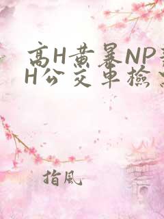 高H黄暴NP辣H公交车检票员