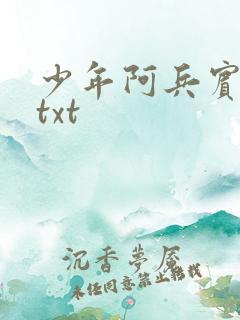少年阿兵宾小说txt