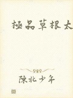 极品草根太子