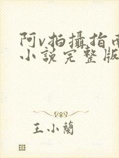 阿v拍摄指南说小说完整版