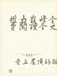 权力巅峰全本免费阅读全文