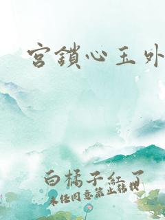 宫锁心玉外传