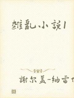 杂乱小说1