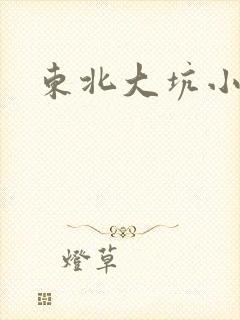 东北大坑小说