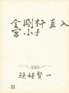 金刚杵直入莲花宫小f