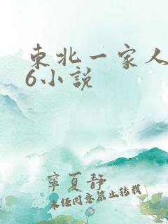 东北一家人1一6小说