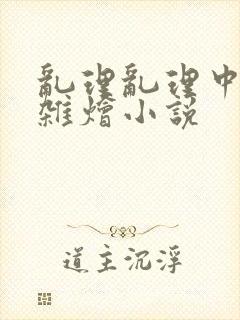 乱理乱理中文大杂烩小说