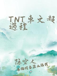 TNT车文超细过程