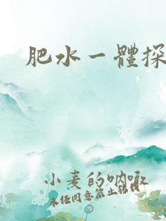 肥水一体探岳体