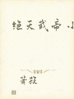绝天武帝 小说