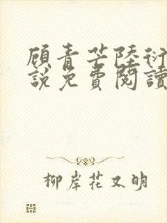 顾青芒陆衍牧小说免费阅读