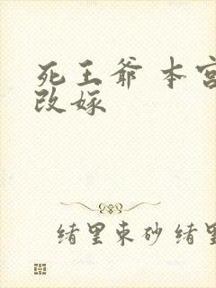 死王爷 本宫已改嫁