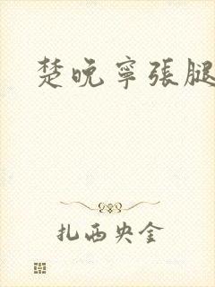 楚晚宁张腿放棋