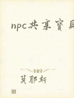 npc共享宝贝